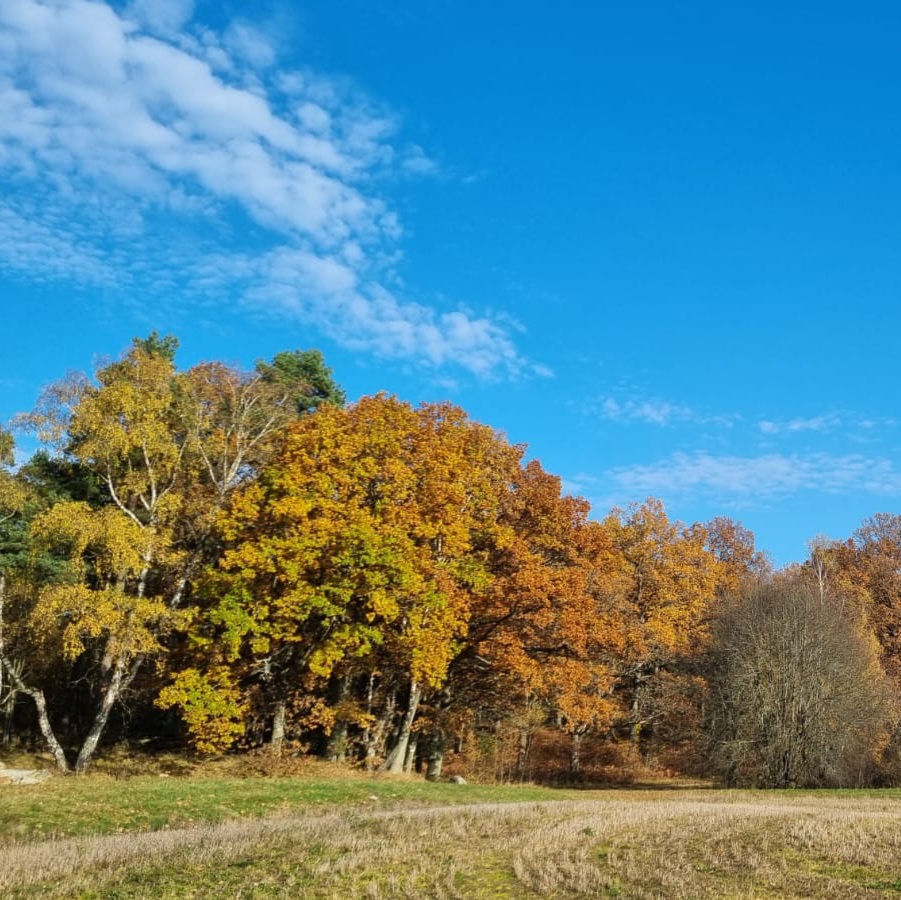 Hovdala Strövområde