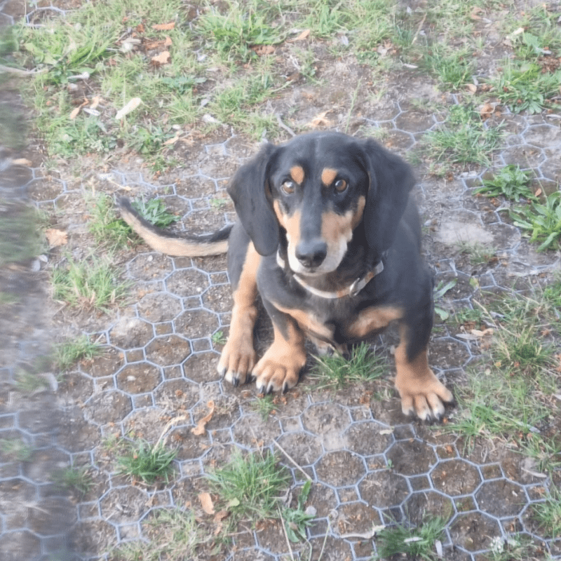 Österjön runt –&nbsp;Litauen