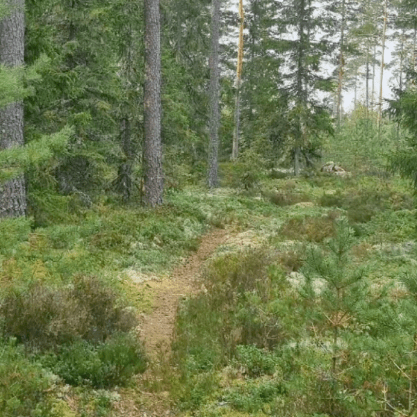 Alla vägar bär till Stockholm – utom&nbsp;E4an…