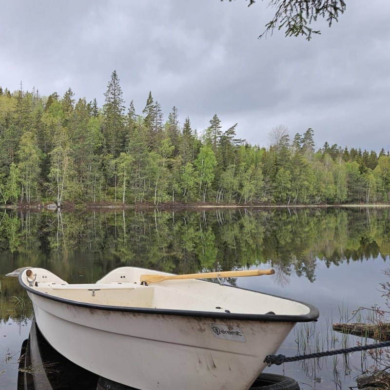 En helg i skogens och sjöarnas&nbsp;sällskap