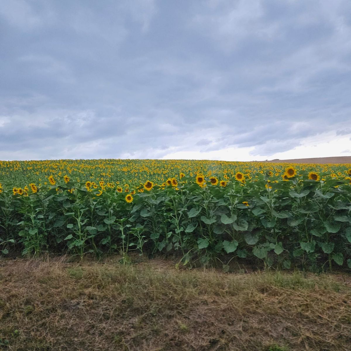 Roadtrip 2024 –&nbsp;Ungern