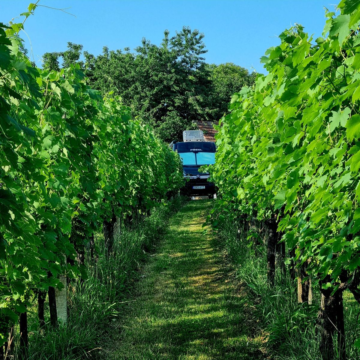 Roadtrip 2024 –&nbsp;Slovenien